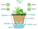 Various Small Plastic Flower Pots Automatic Water Absorption And Storage